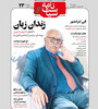 زبان توسعه، زبان تجدد